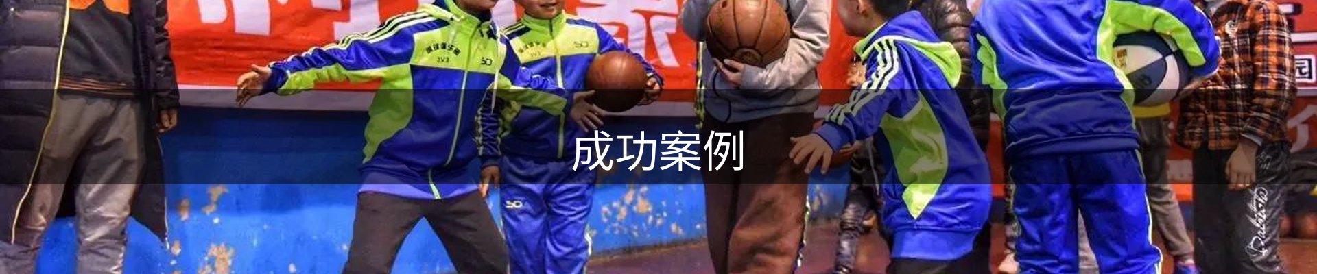成功案例